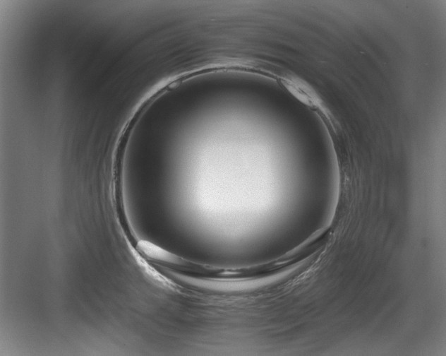 X0000084031143200702161428