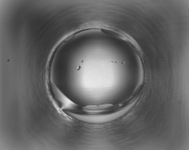 X0000084031144200702161428