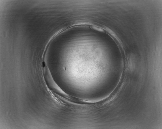 X0000084031145200702161428