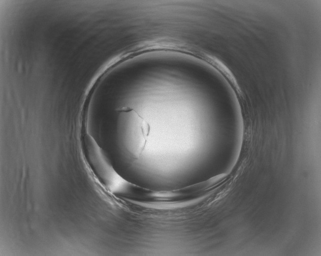 X0000084031146200702161428