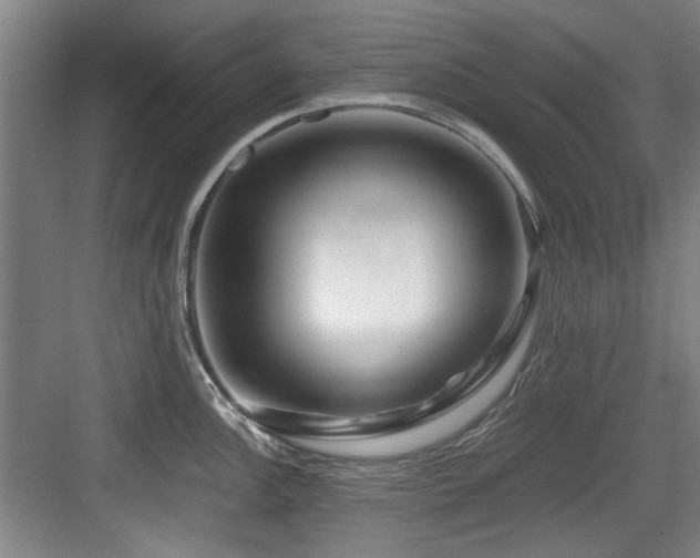 X0000084031148200702161428