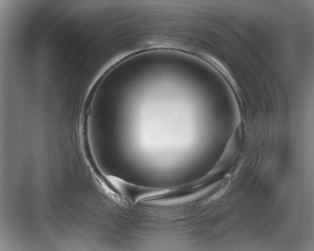 X0000084031149200702161428