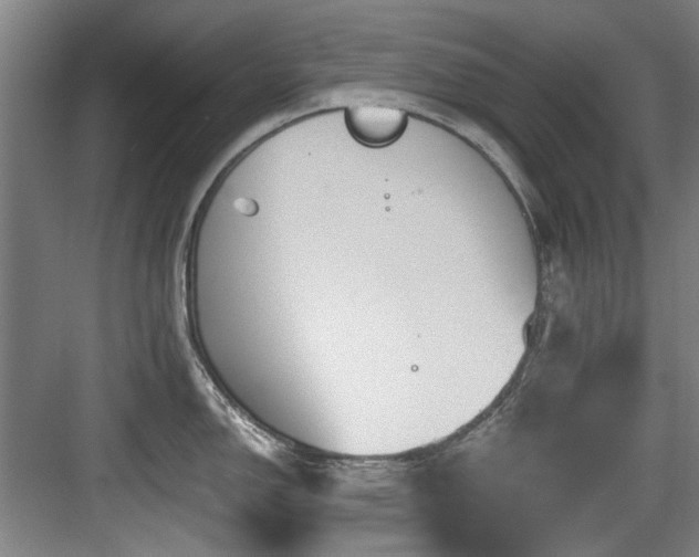 X0000084031150200702161428