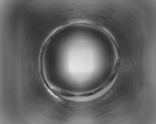 X0000084031151200702161428