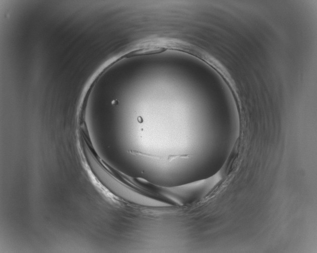 X0000084031152200702161428