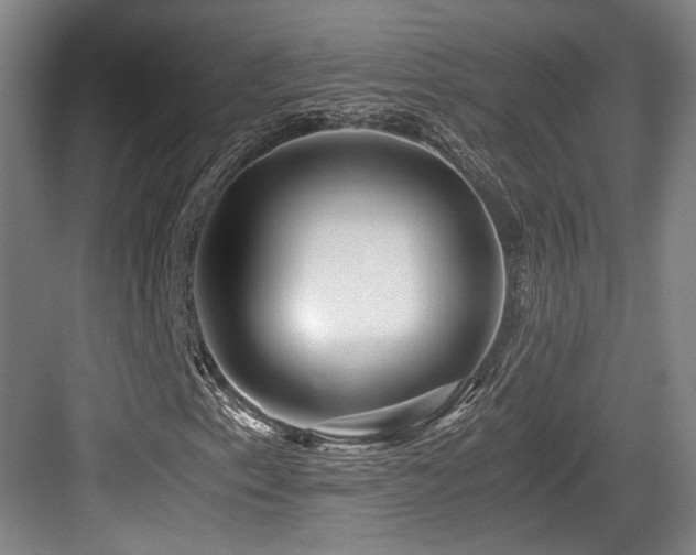 X0000084031153200702161427