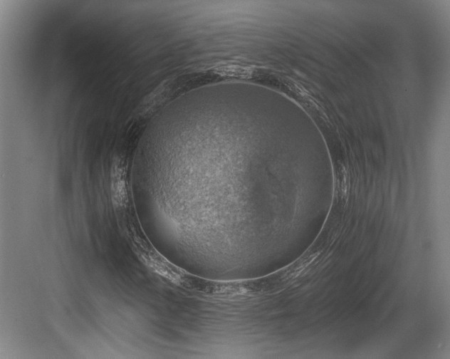 X0000084031154200702161427