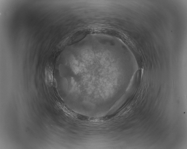 X0000084031155200702161427