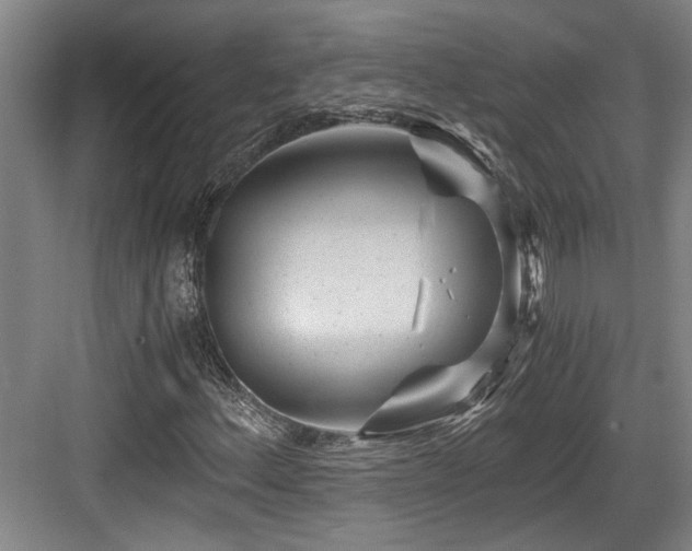 X0000084031156200702161427