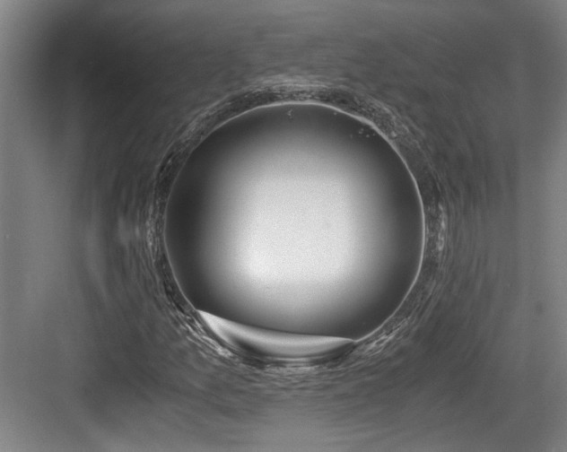 X0000084031157200702161427