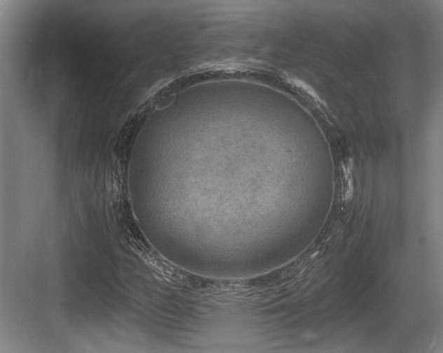 X0000084031158200702161427