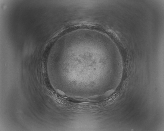 X0000084031159200702161427