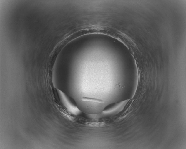 X0000084031160200702161427