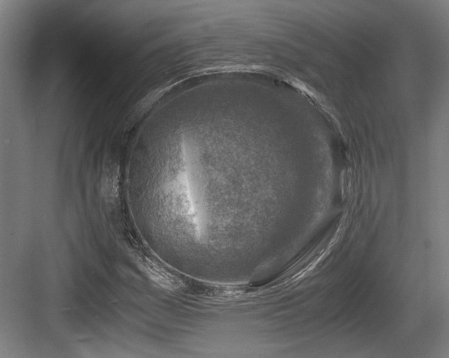 X0000084031161200702161427