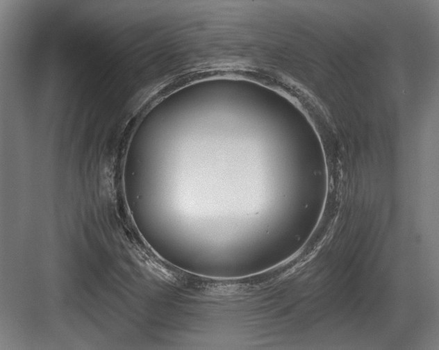 X0000084031162200702161427