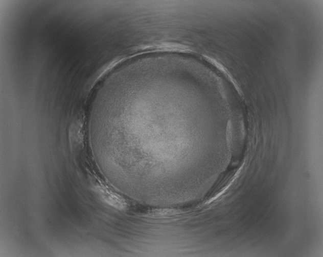 X0000084031163200702161427