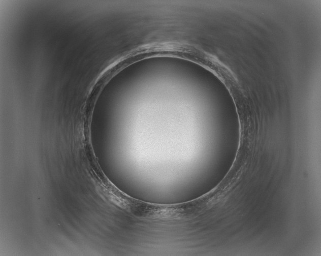 X0000084031166200702161427