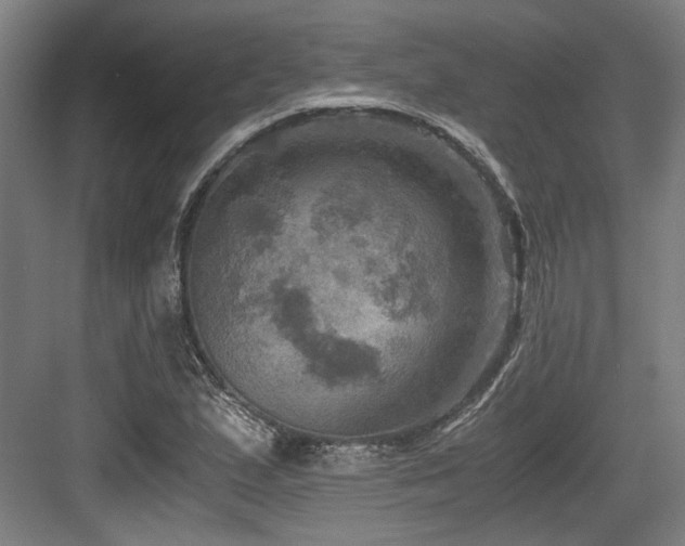 X0000084031167200702161427