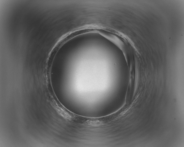 X0000084031168200702161427