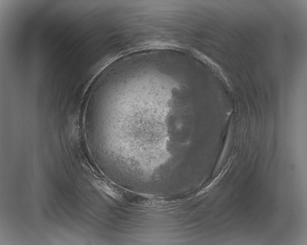 X0000084031170200702161427