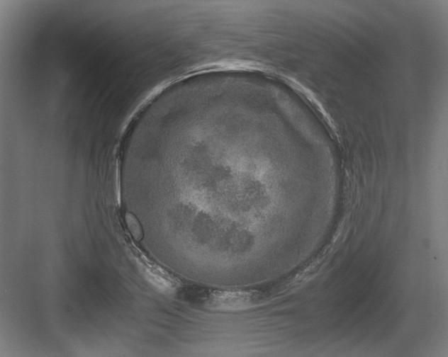 X0000084031171200702161427