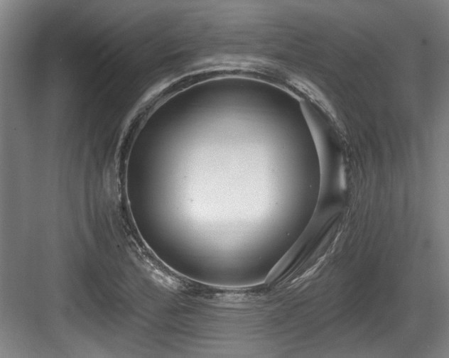 X0000084031172200702161427