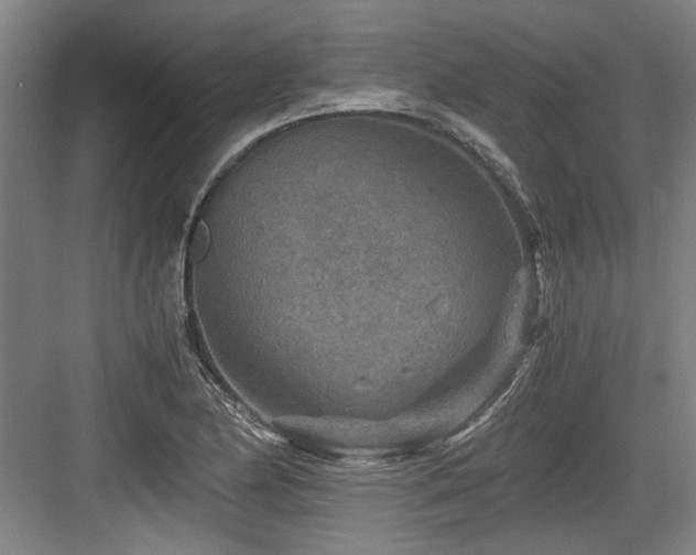 X0000084031174200702161427