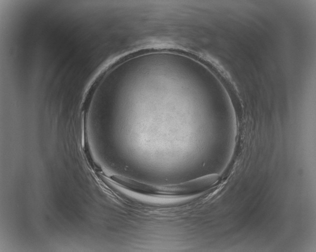 X0000084031175200702161427