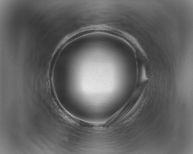 X0000084031176200702161427