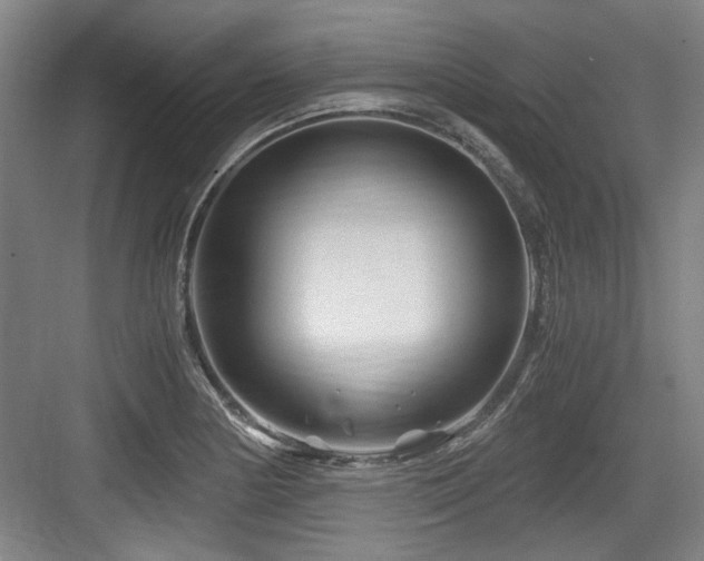 X0000084031178200702161427