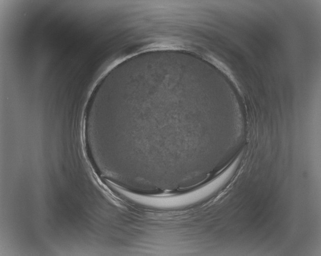 X0000084031179200702161427