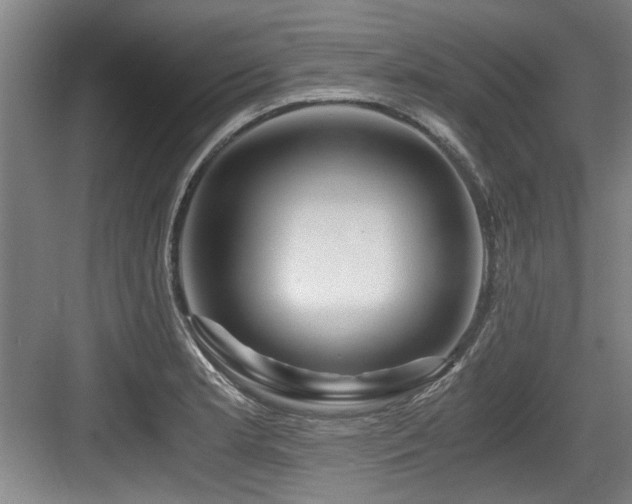 X0000084031181200702161427