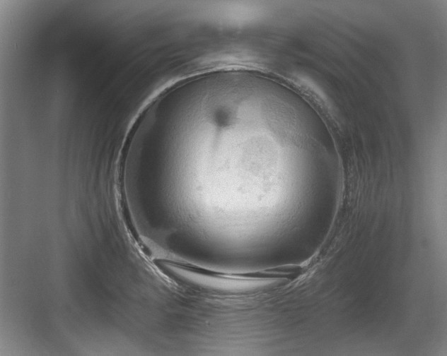 X0000084031182200702161427