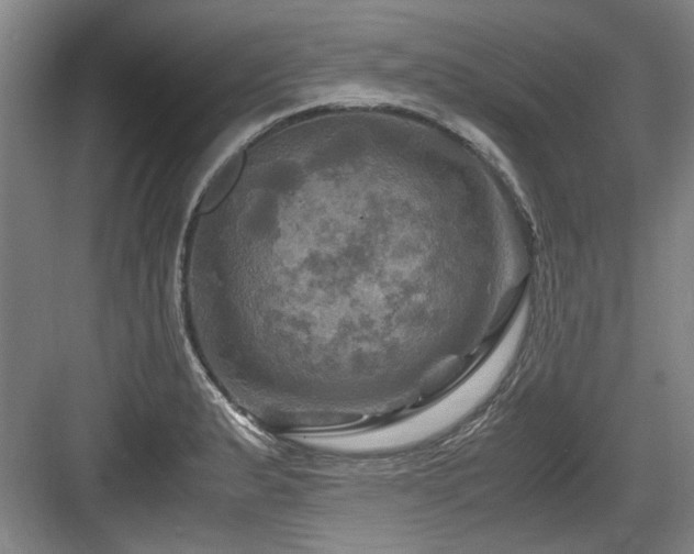 X0000084031183200702161427