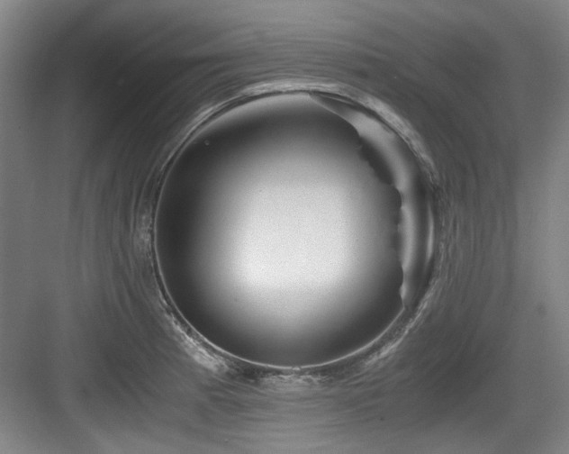 X0000084031185200702161427