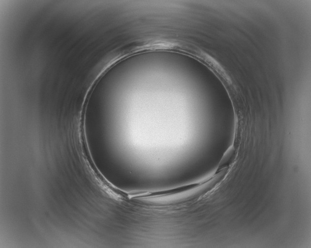 X0000084031186200702161427