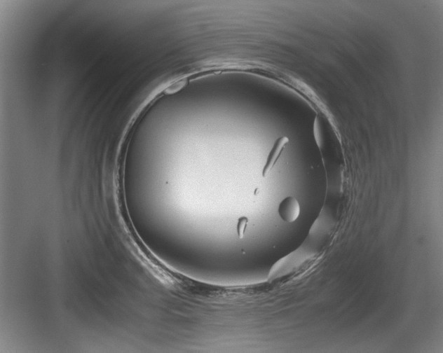 X0000084031187200702161427