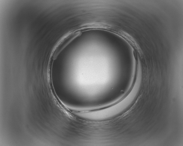 X0000084031188200702161427