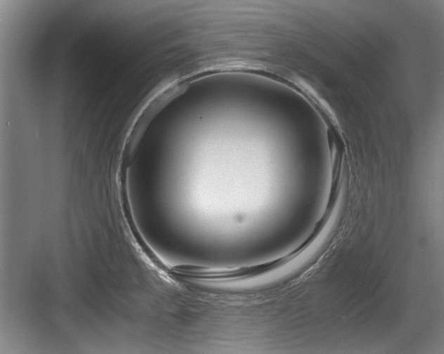 X0000084031189200702161427