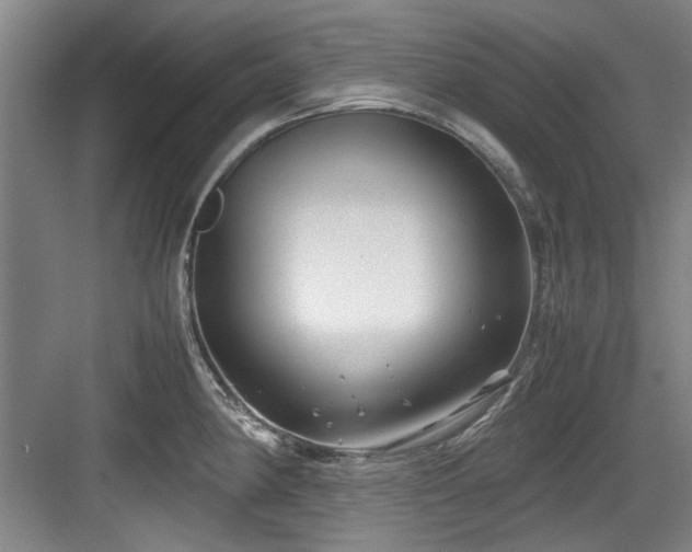 X0000084031190200702161426