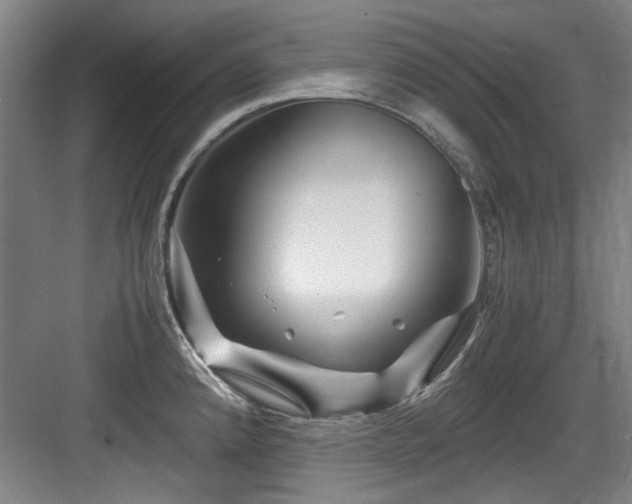 X0000084031192200702161426