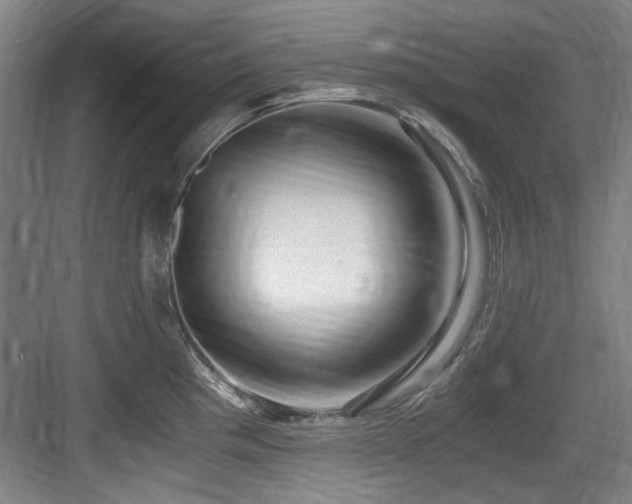 X0000084031193200702161426