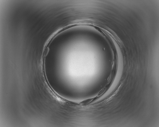 X0000084031196200702161426