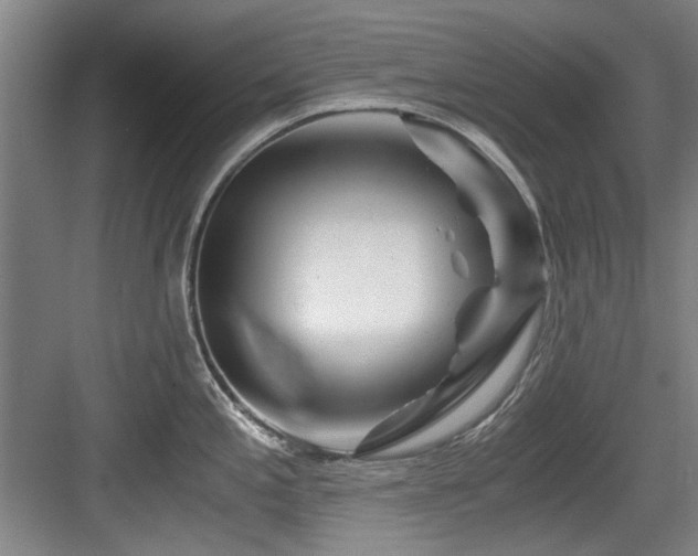 X0000084031197200702161426