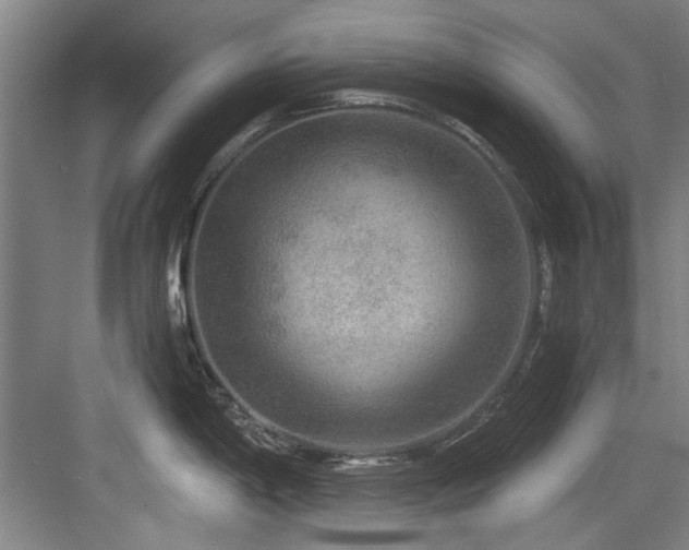 X0000084031198200702161426