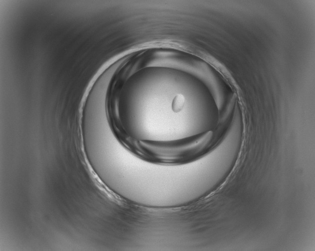 X0000084031200200702161426