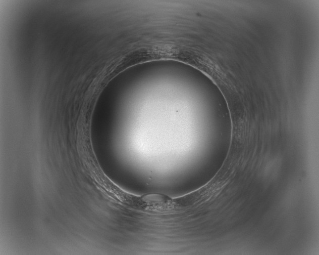 X0000084031201200702161426