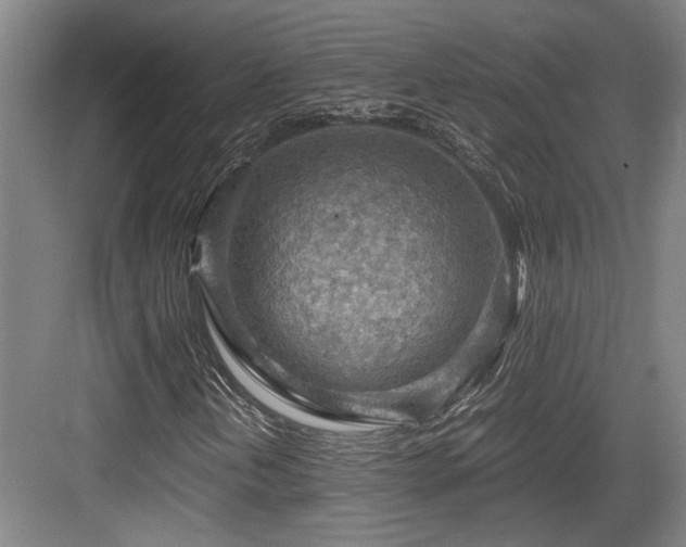 X0000084031202200702161426