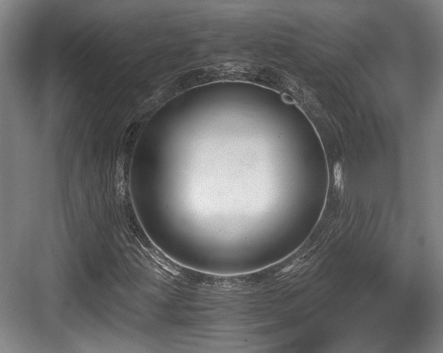 X0000084031203200702161426