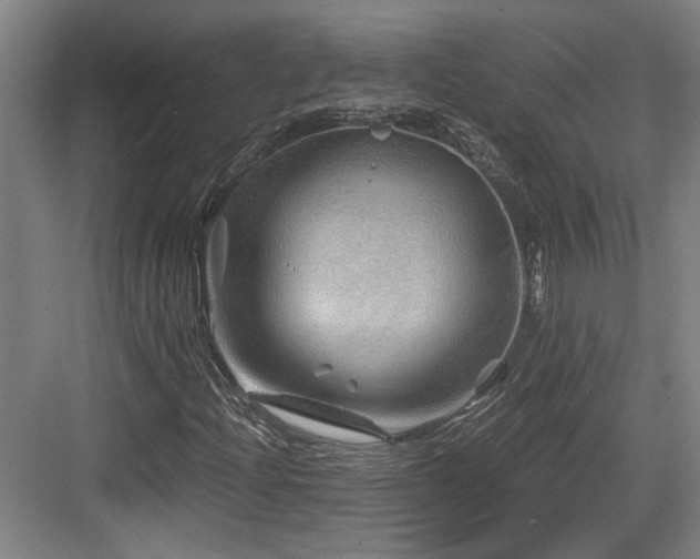 X0000084031204200702161426